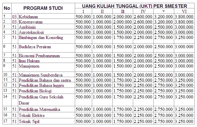 Tabel Biaya Kuliah Universitas Borneo Tarakan Jalur Seleksi